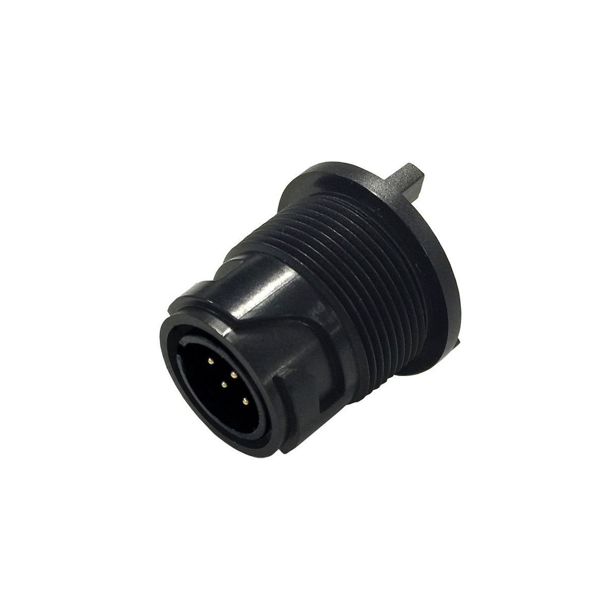 ___p__pxp4013_p.jpg